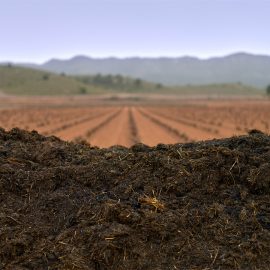 Organic Soil Conditioner for High Clay